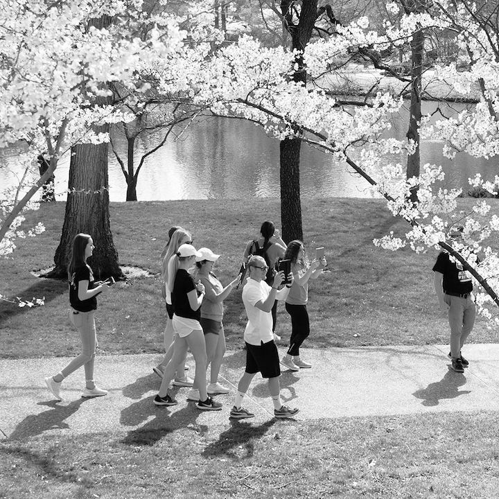 Students exploring a local St. Louis park